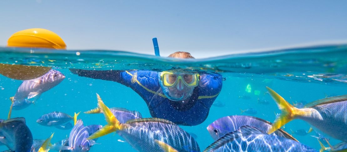 Great Barrier Reef Adventure Snorkelling