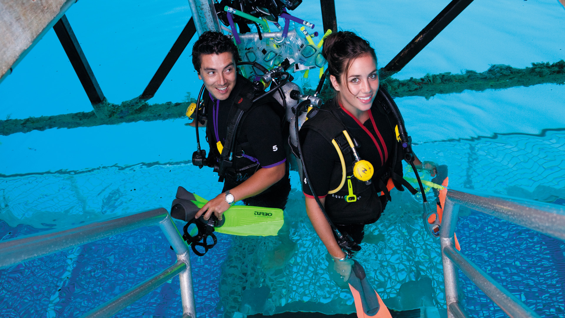 Certified Dive Cruise Whitsundays Certified Dive Cruise Whitsundays