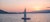 Camira Sunset Sail