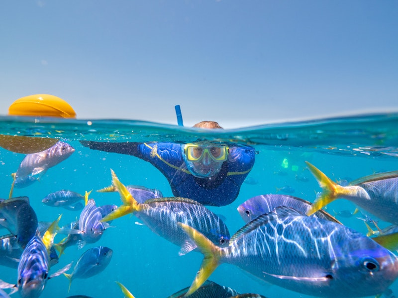 Cruise Whitsundays — Reefsleep