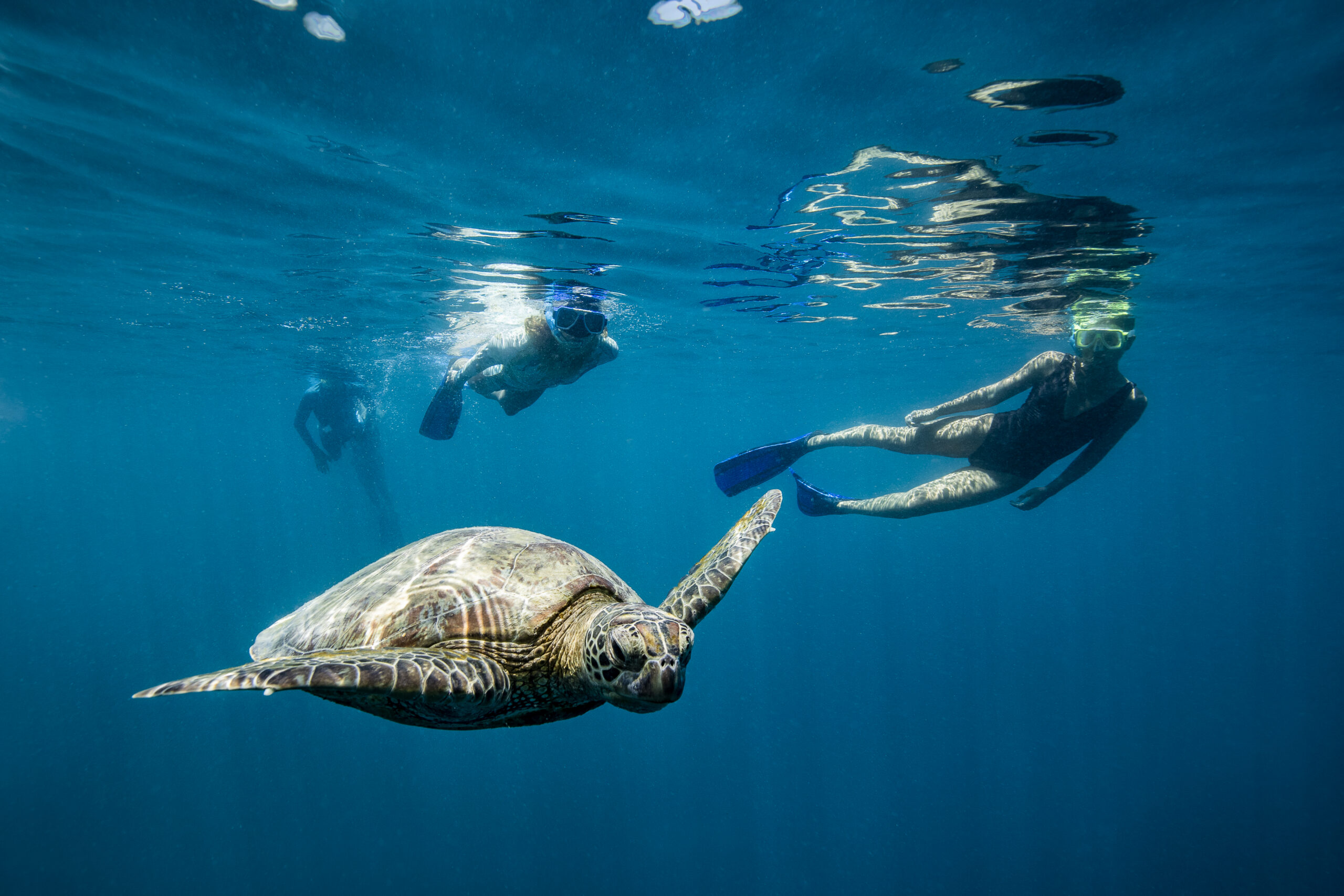 Reef & Sail - The Whitsunday Icons combo - Cruise Whitsundays
